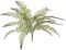 2PC 20" Dusted River Fern Bush – Lifelike Faux Greenery for Décor